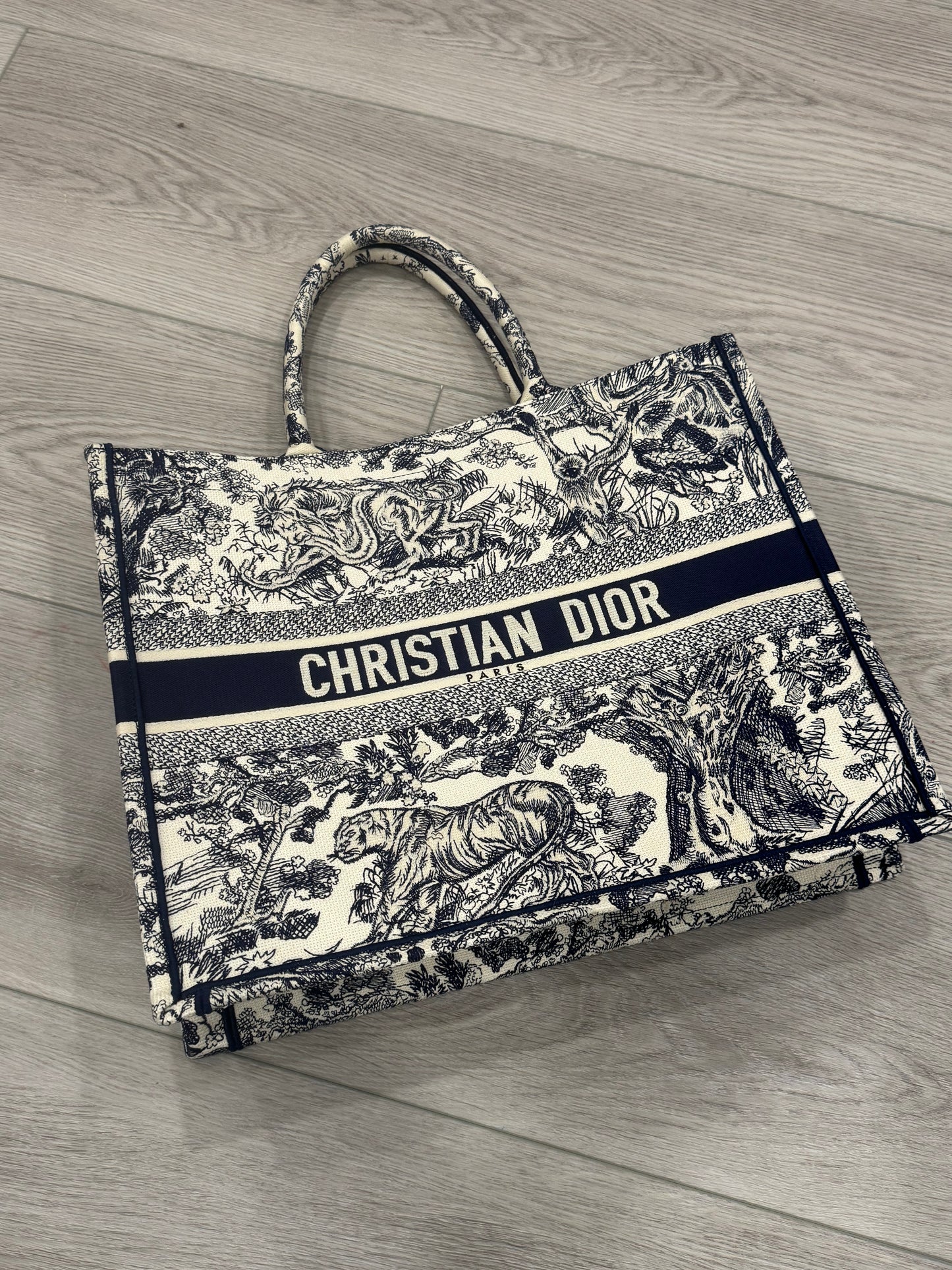 Dior Book Tote