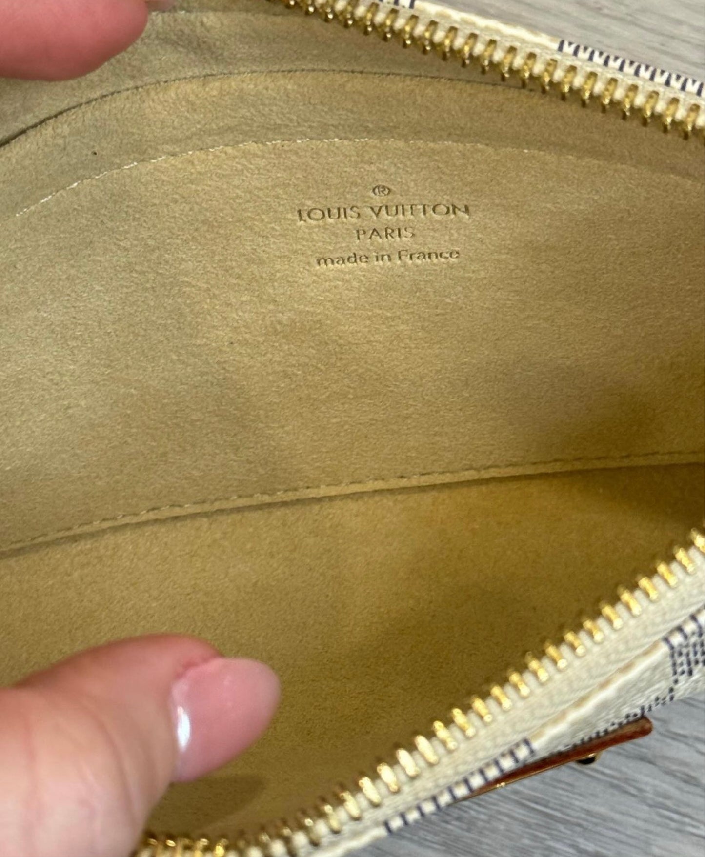 Louis Vuitton Mila pouch