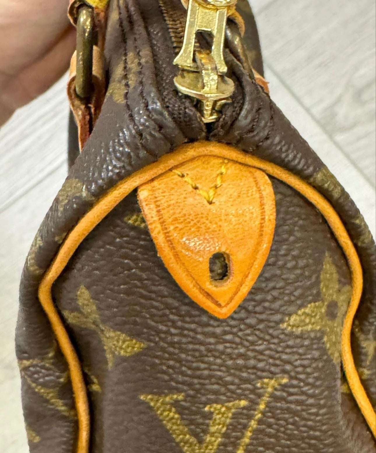 Louis Vuitton Nano Speedy
